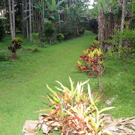 Sathwik Homestay Kumta Extérieur photo
