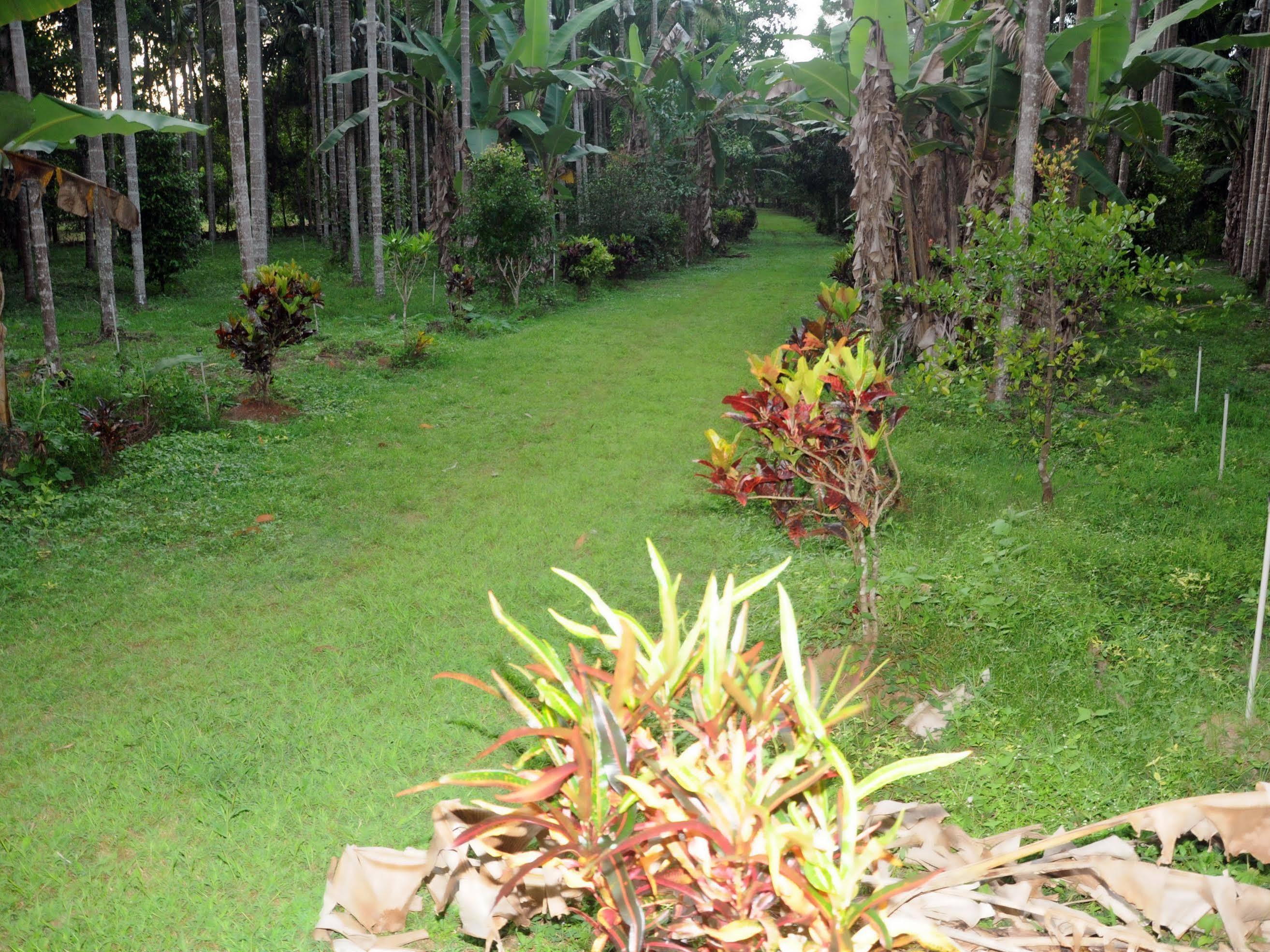 Sathwik Homestay Kumta Extérieur photo